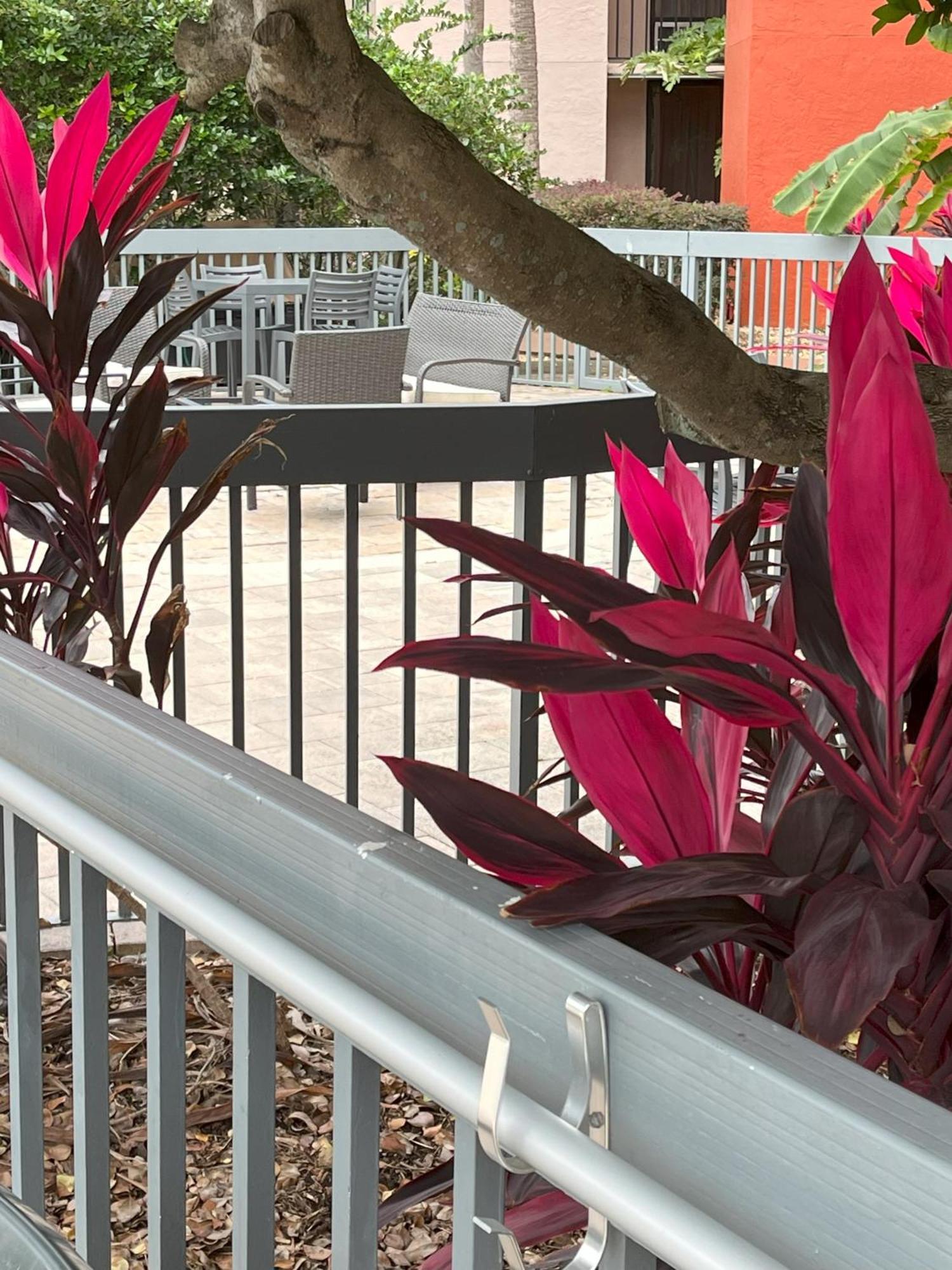 Grand Hotel Orlando At Universal Blvd - Shuttle To Theme Parks ภายนอก รูปภาพ